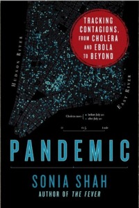 shah_pandemic